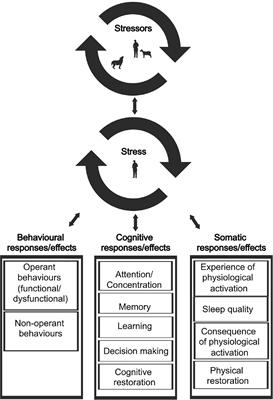 “Landscape of Stress” for Sheep Owners in the Swedish Wolf Region